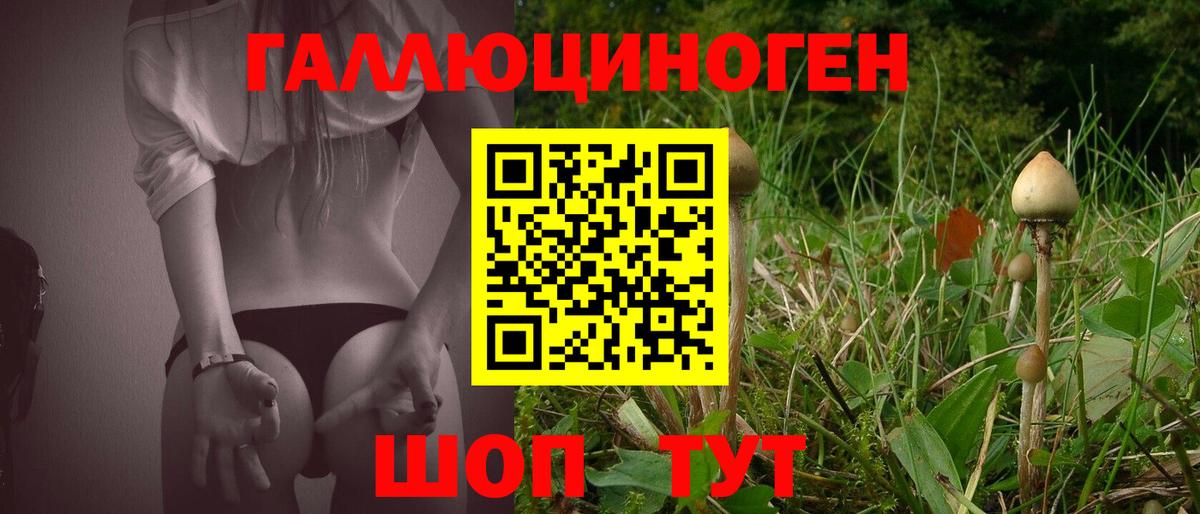 Прохладный  Галлюциногенные грибы Psilocybe  Вход с VPN  Галлюциногенные грибы MAGIC MUSHROOMS 